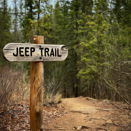 Jeep trail